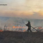 На Дніпропетровщині зросла кількість пожеж в екосистемах