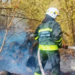 В області протягом доби вогонь знищив понад 70 га екосистем